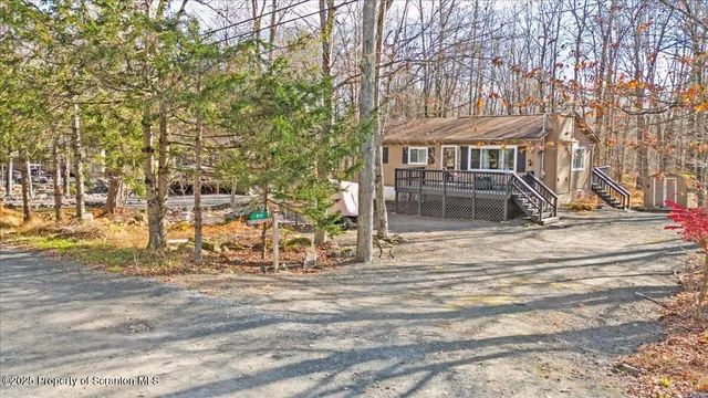 a view of a yard from a yard