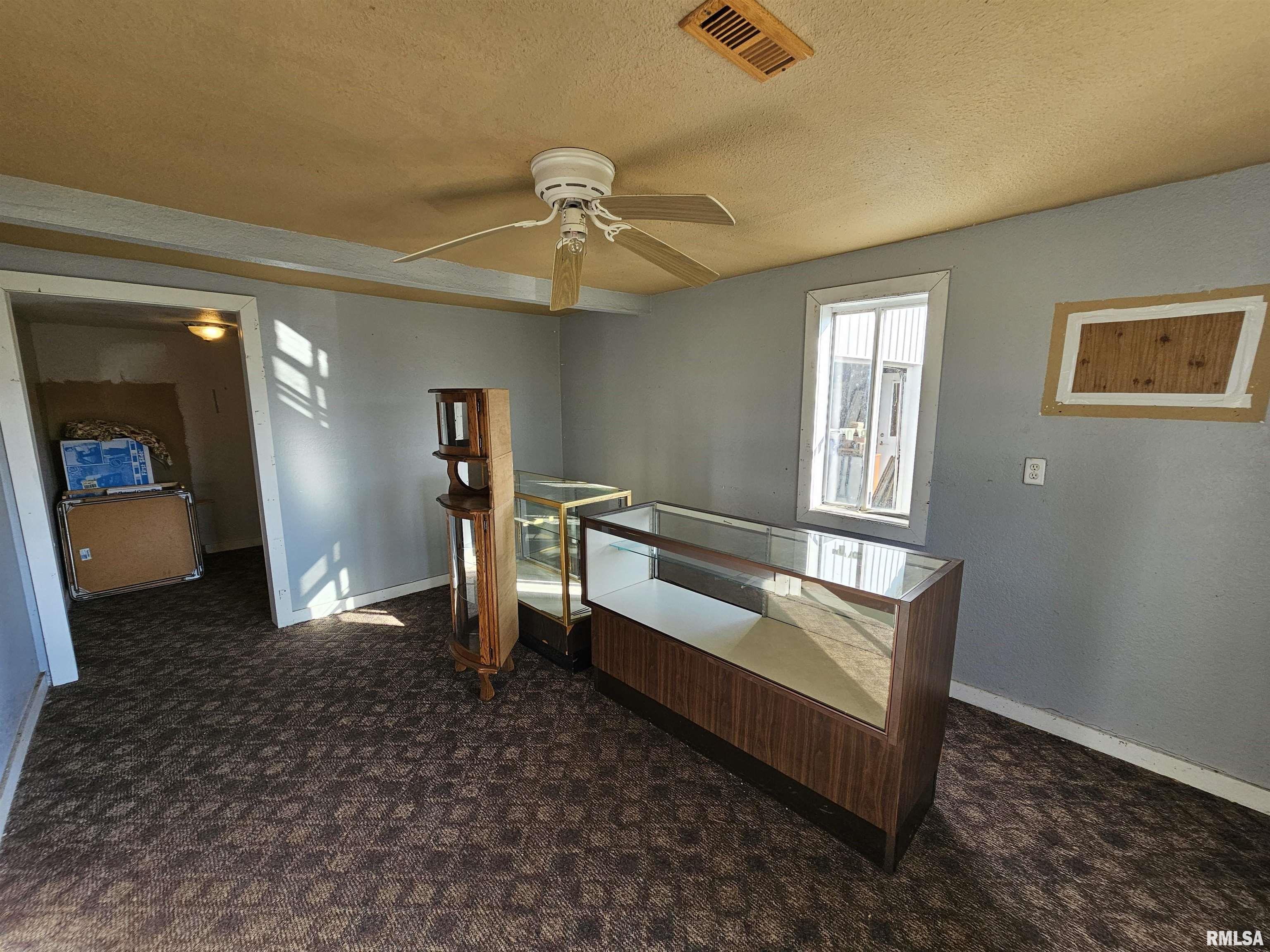 233 N Us Hwy 45 Cisne, IL 62823 - Photo 19 of 23