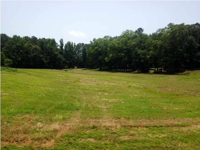 785 Cooncreek Road Carthage, MS 39051 - Photo 23 of 27 Photo 23