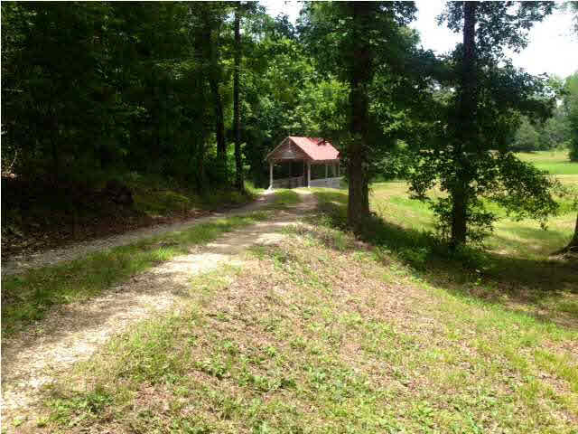 785 Cooncreek Road Carthage, MS 39051 - Photo 3 of 27 Photo 3