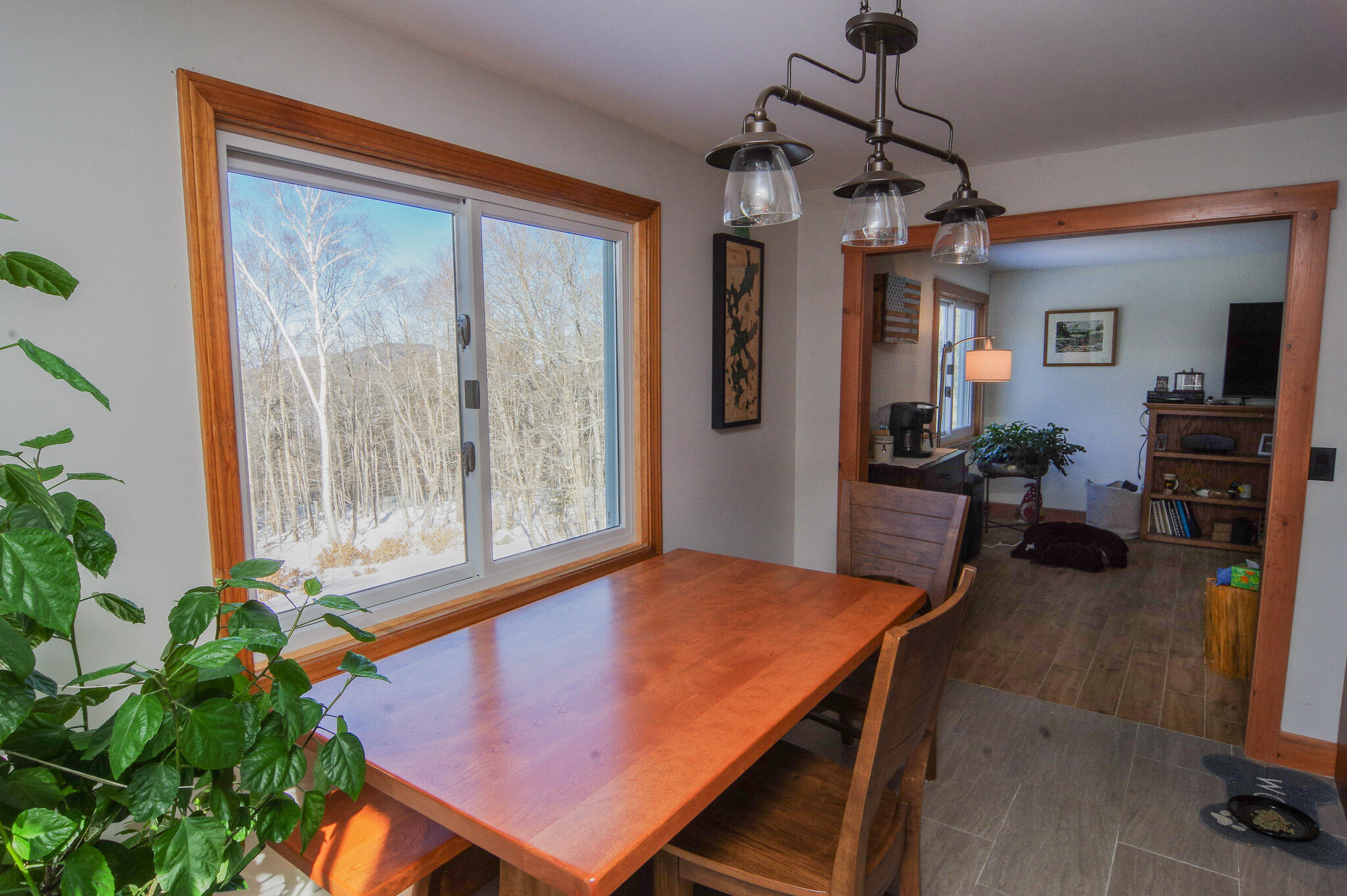 412 Lily Bay Road Greenville, ME 04441 - Photo 12 of 71 IMGP8321