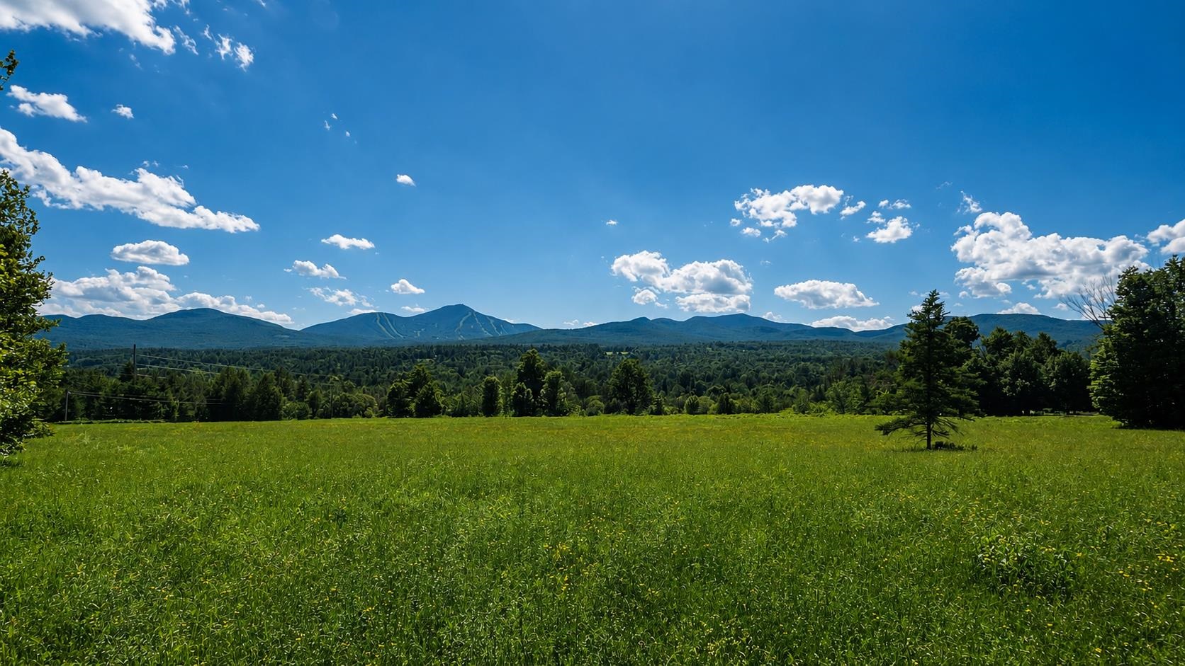 237 Loop Road Jay, VT 05859 - Photo 10 of 34