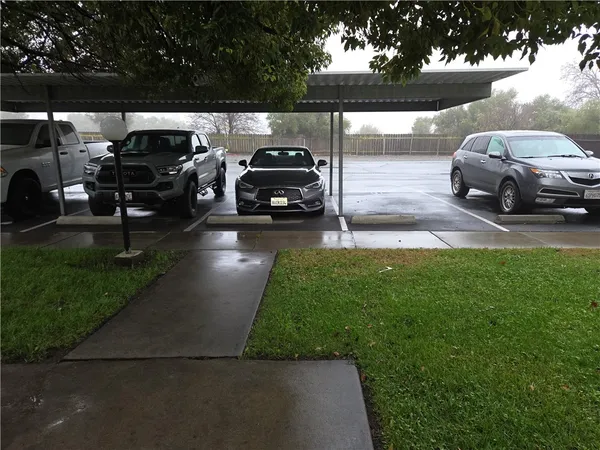 a view of a yard and car parked