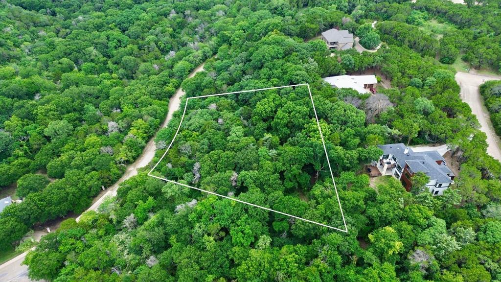 1917 Juniper Ridge Road Cedar Hill, TX 75104 - Photo 8 of 23 an aerial view of a house with lots of trees