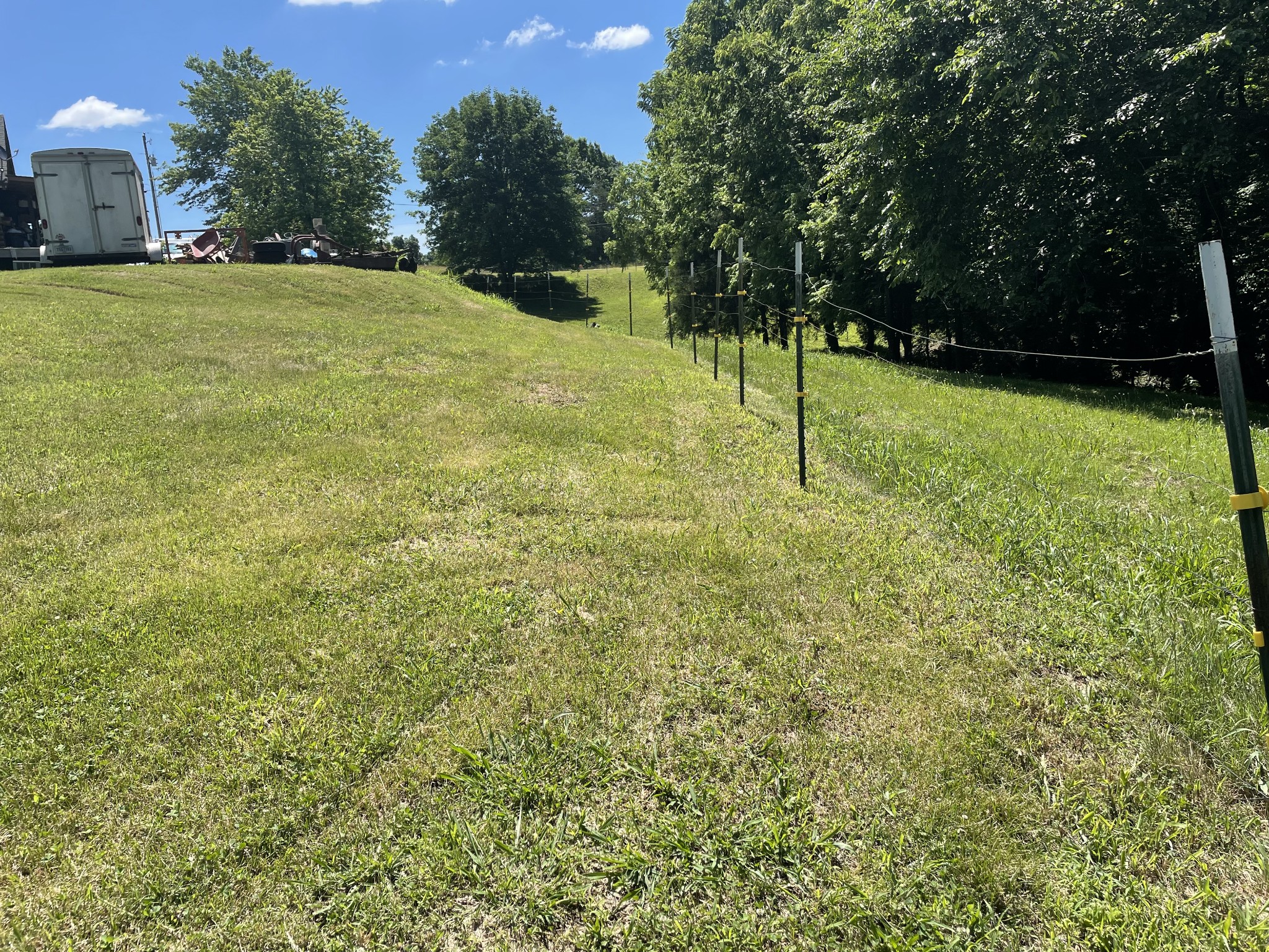 850 Providence Road Lebanon, TN 37087 - Photo 19 of 55 a view of a trees with a yard