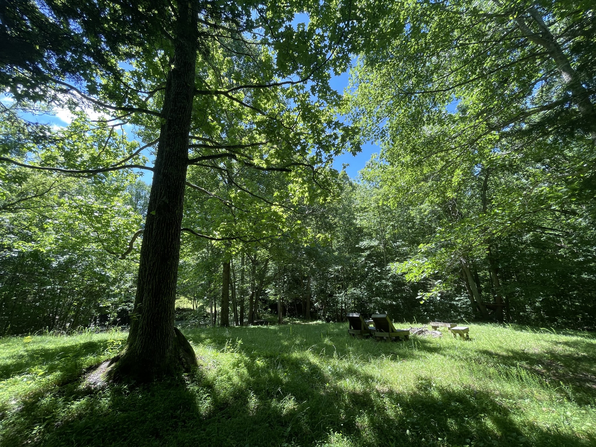 850 Providence Road Lebanon, TN 37087 - Photo 24 of 55 a view of a lush green forest