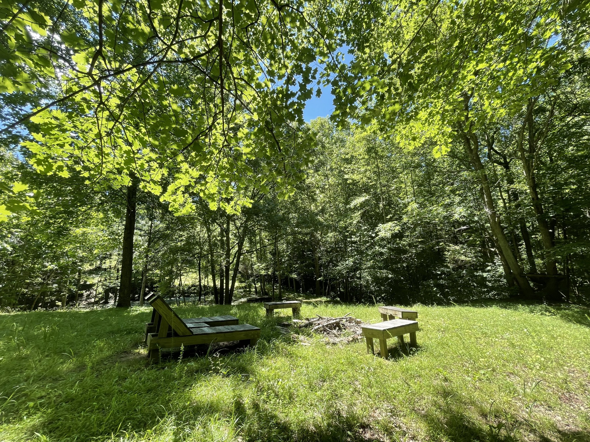850 Providence Road Lebanon, TN 37087 - Photo 26 of 55 a view of a lake with a bench and trees