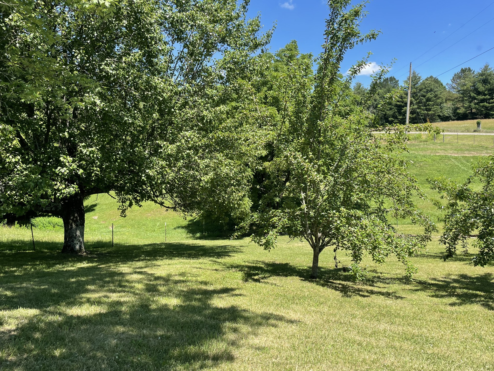 850 Providence Road Lebanon, TN 37087 - Photo 3 of 55 a view of a field with a tree