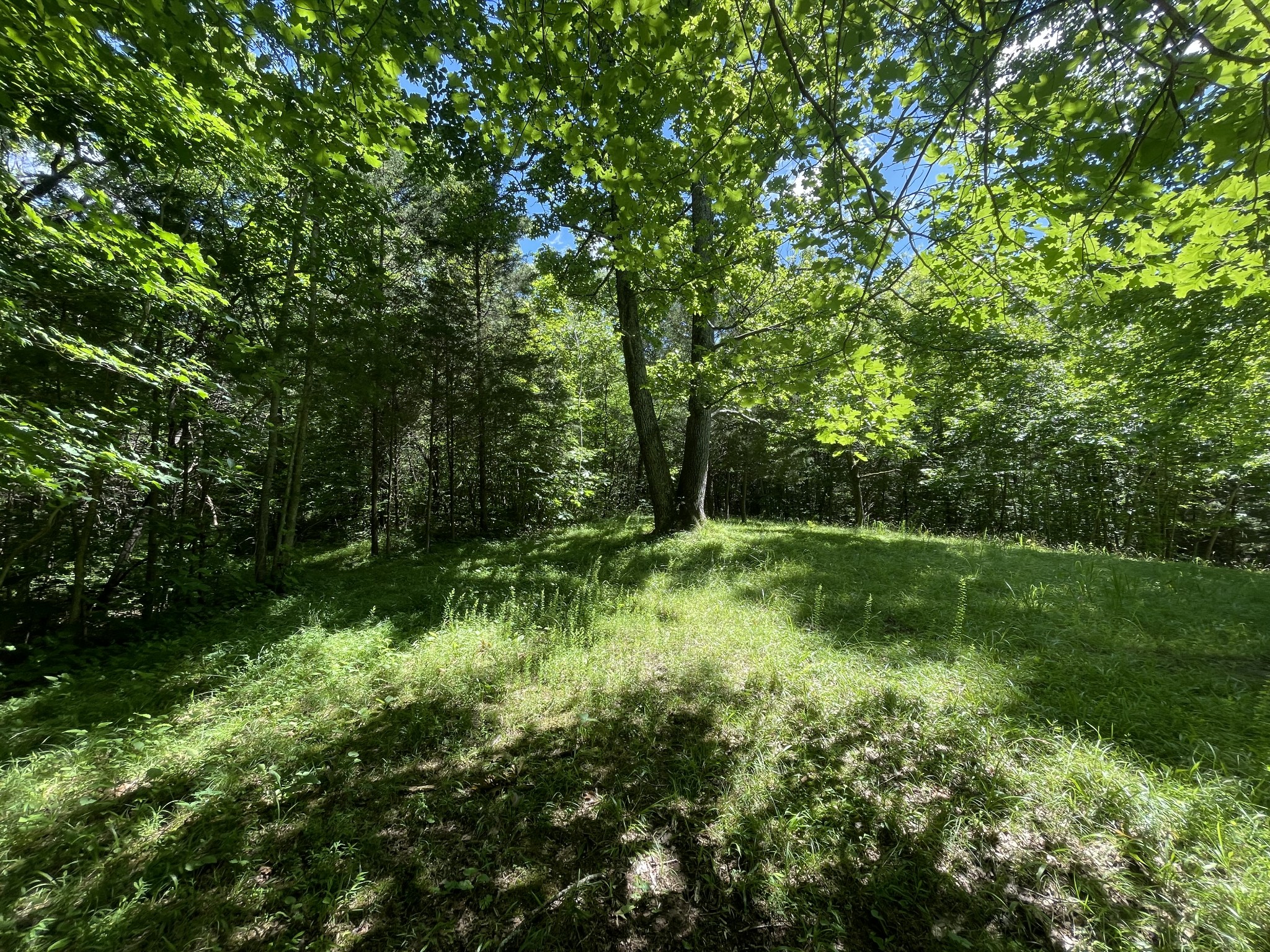 850 Providence Road Lebanon, TN 37087 - Photo 36 of 55 a backyard of a house with lots of green space and chair