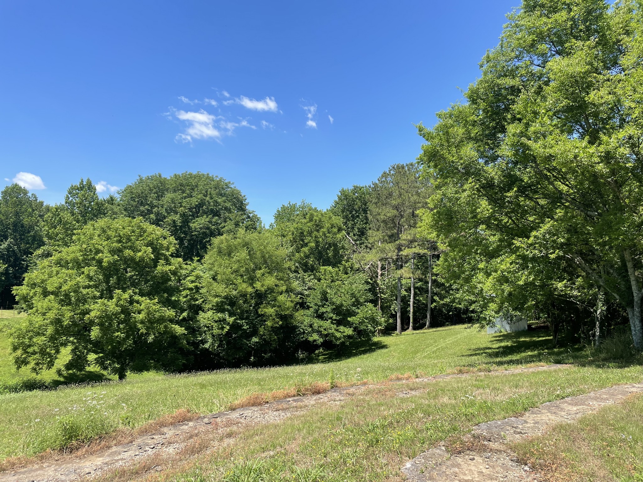 850 Providence Road Lebanon, TN 37087 - Photo 43 of 55 a view of a yard with basketball court