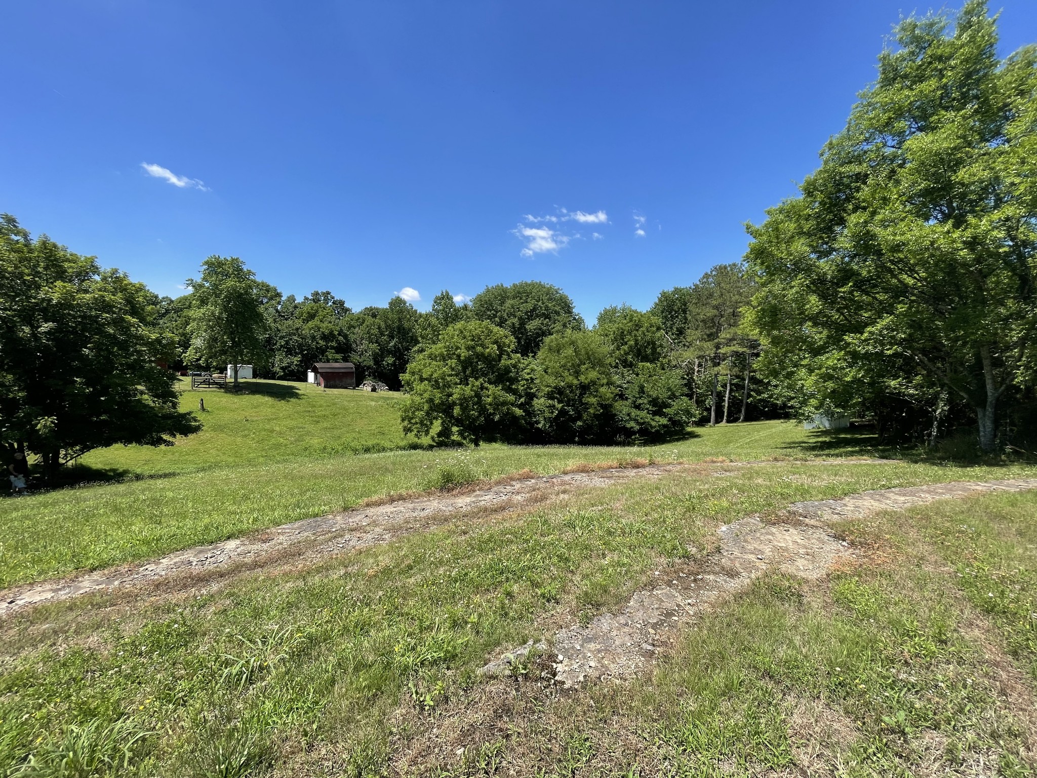 850 Providence Road Lebanon, TN 37087 - Photo 7 of 55 a view of a field with trees in background