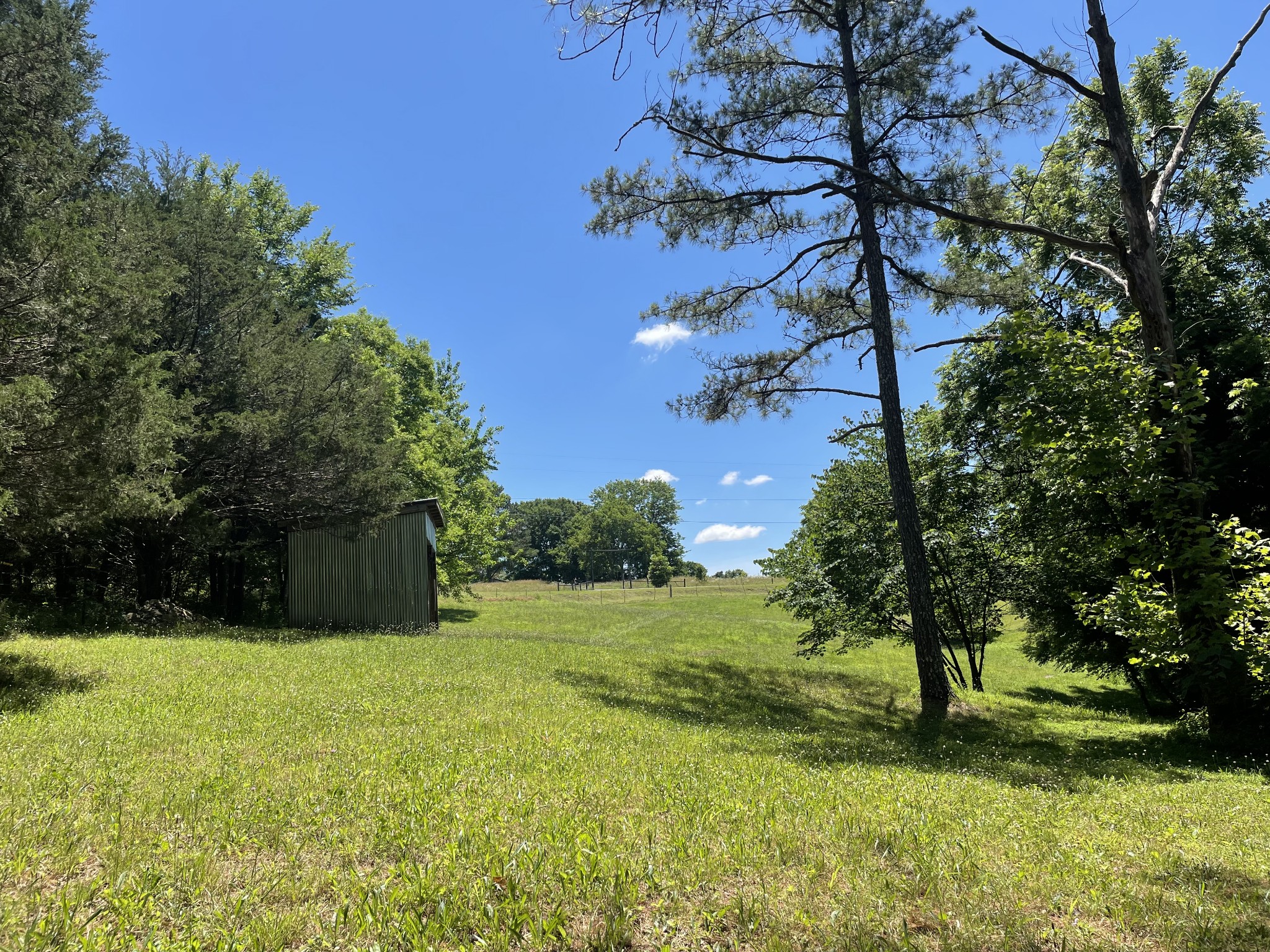 850 Providence Road Lebanon, TN 37087 - Photo 10 of 55 a view of a yard