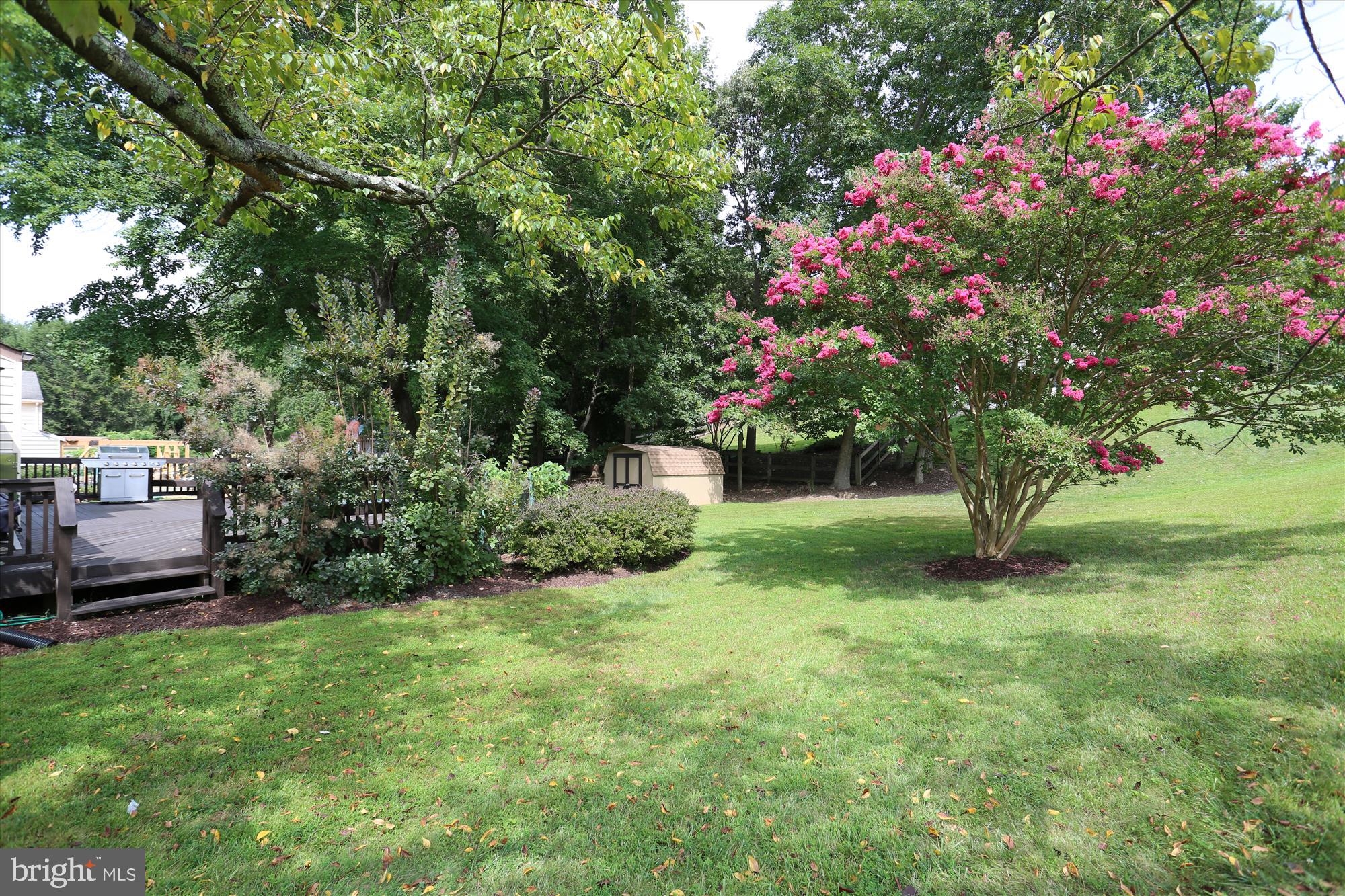 14201 Piccadilly Road Silver Spring, MD 20906 - Photo 10 of 29 Back Yard