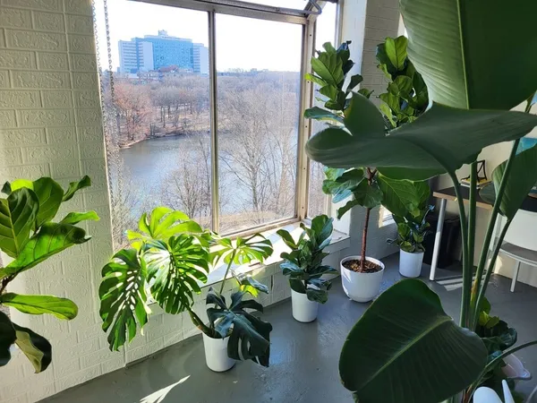 $579,000 | 33 Pond Avenue, Unit 915, Brookline, MA 02445