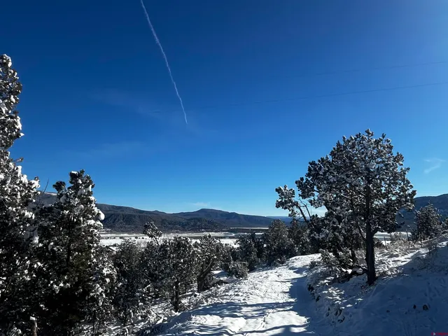 $235,000 | 192 Pinon Hills Drive, Arboles, CO 81121