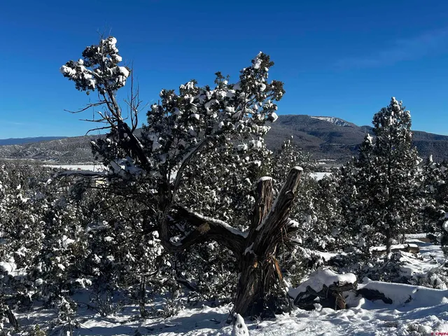 $235,000 | 192 Pinon Hills Drive, Arboles, CO 81121