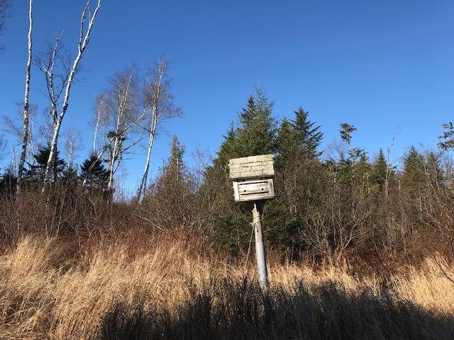 25 Jones Road Lubec, ME 04652 - Photo 9 of 48 IMG_5477
