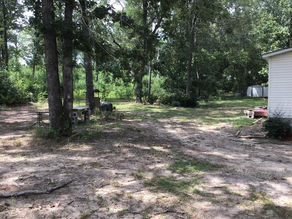 1100 Fox Young Road Wagener, SC 29164 - Photo 12 of 54