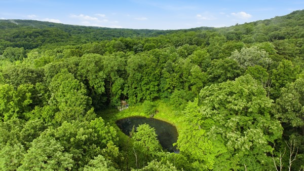 6070 Italy Valley Road Italy, NY 14512 - Photo 11 of 19