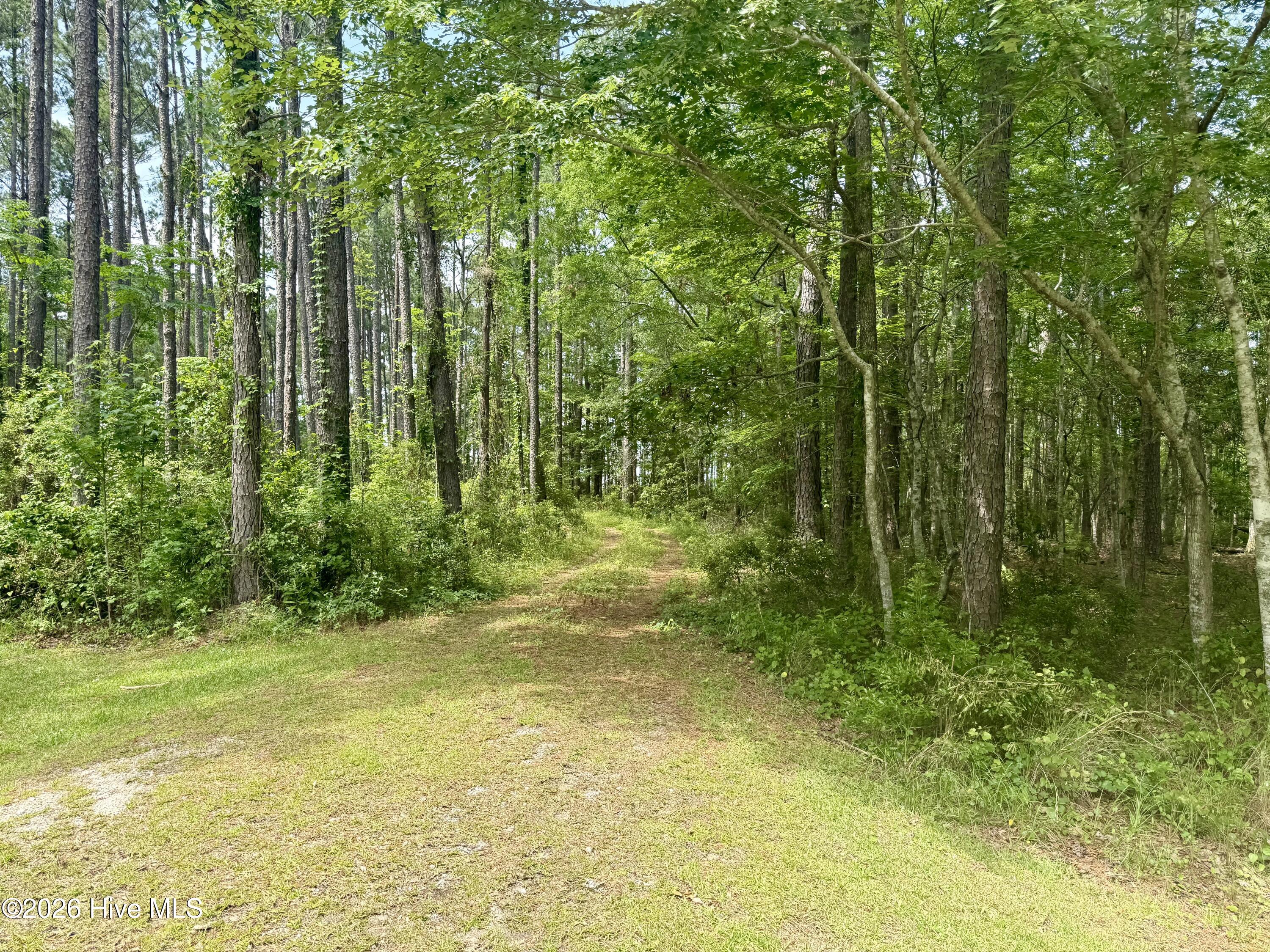 558 Sandy Point Drive Beaufort, NC 28516 - Photo 3 of 23