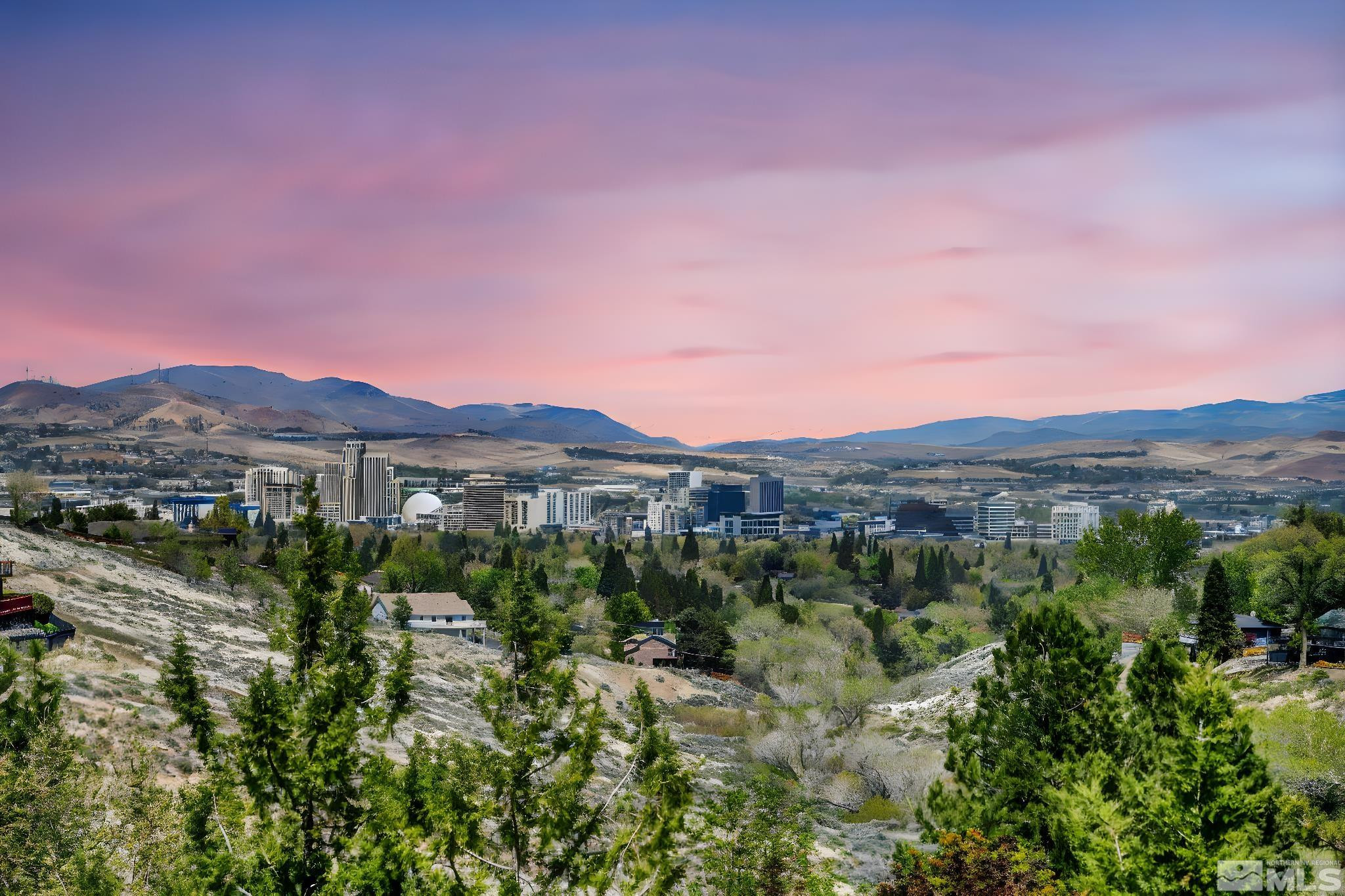 3045 Cashill Boulevard Reno, NV 89509 - Photo 27 of 27 Photo 27