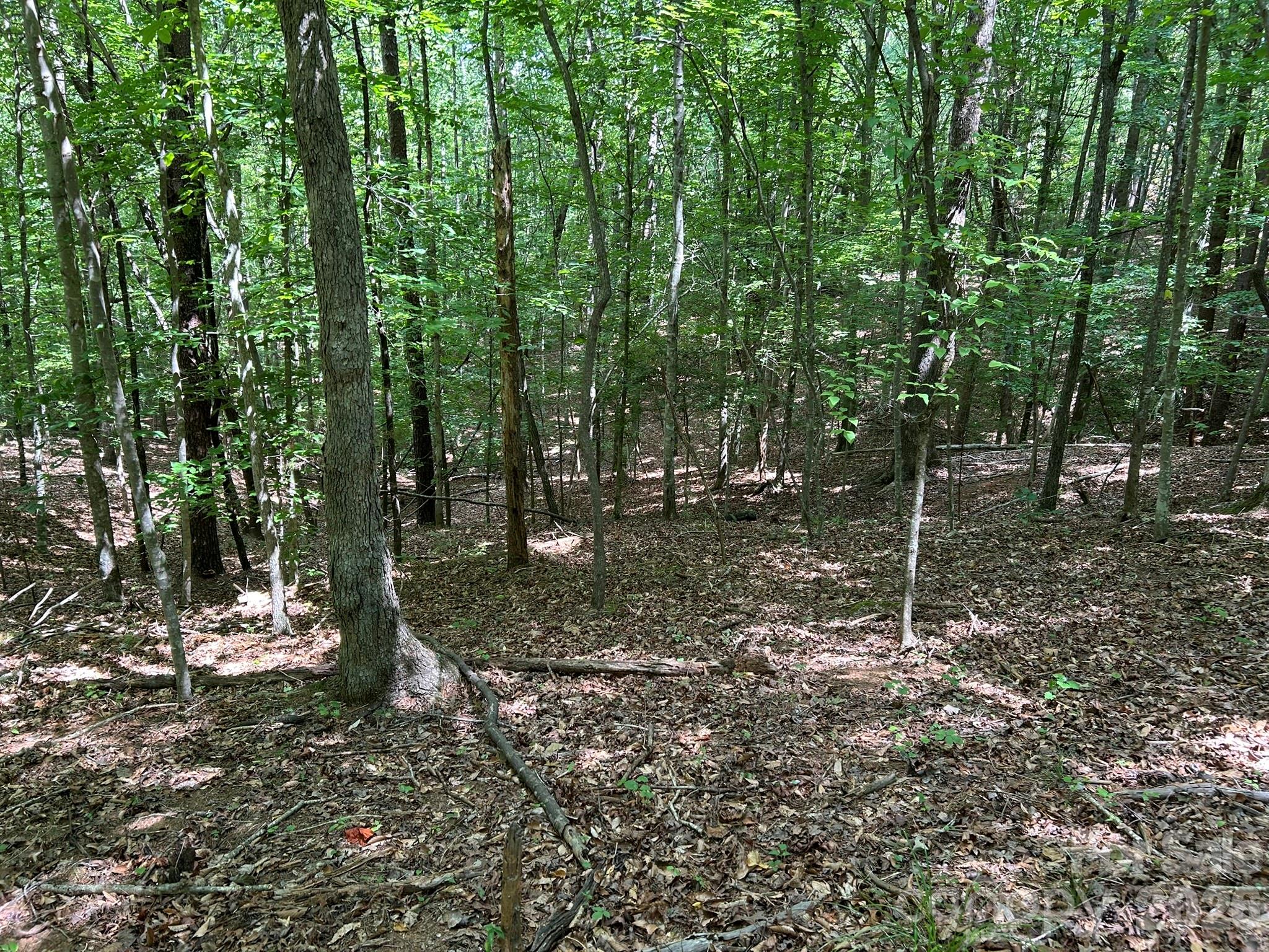 0 Wilderness Ridge, Unit 4 Rutherfordton, NC 28139 - Photo 10 of 11