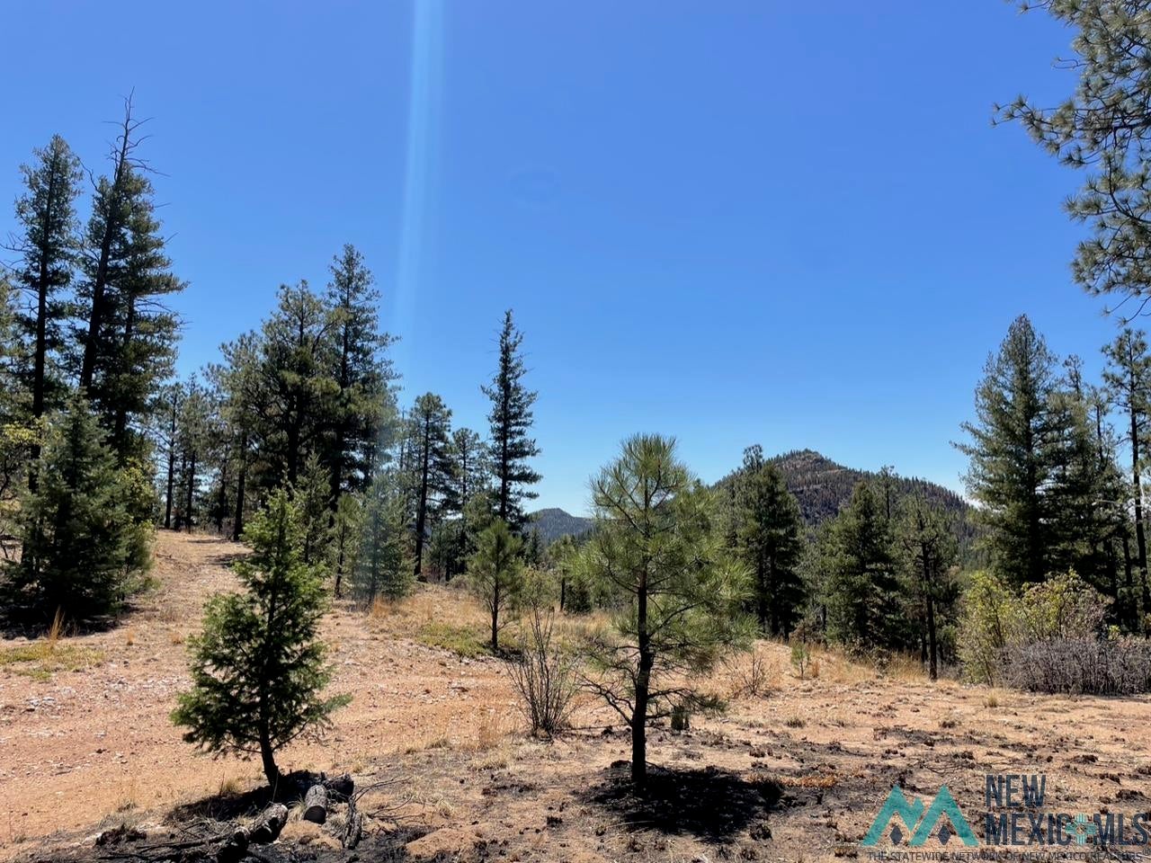 1045-ac Branch Road Mora, NM 87732 - Photo 25 of 40 Gallery Image 25