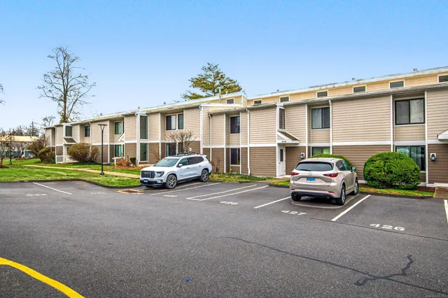 a view of a park with large trees
