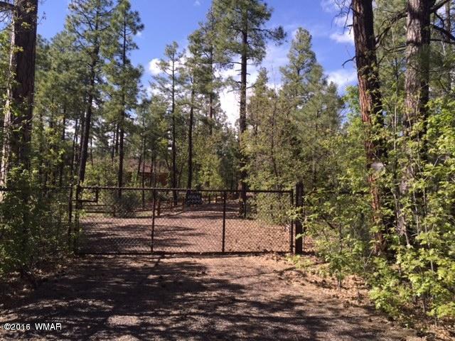 1136 East Rim Road Pinetop, AZ 85935 - Photo 20 of 30