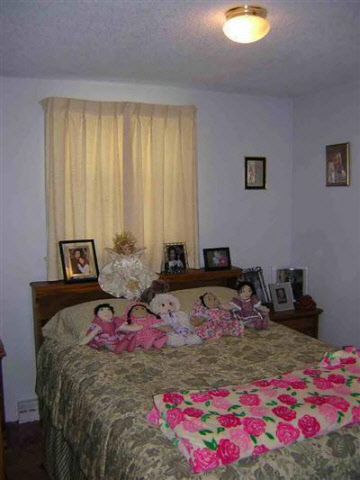 4246 Vienna Road Clio, MI 48420 - Photo 8 of 9 20199923-7.JPG