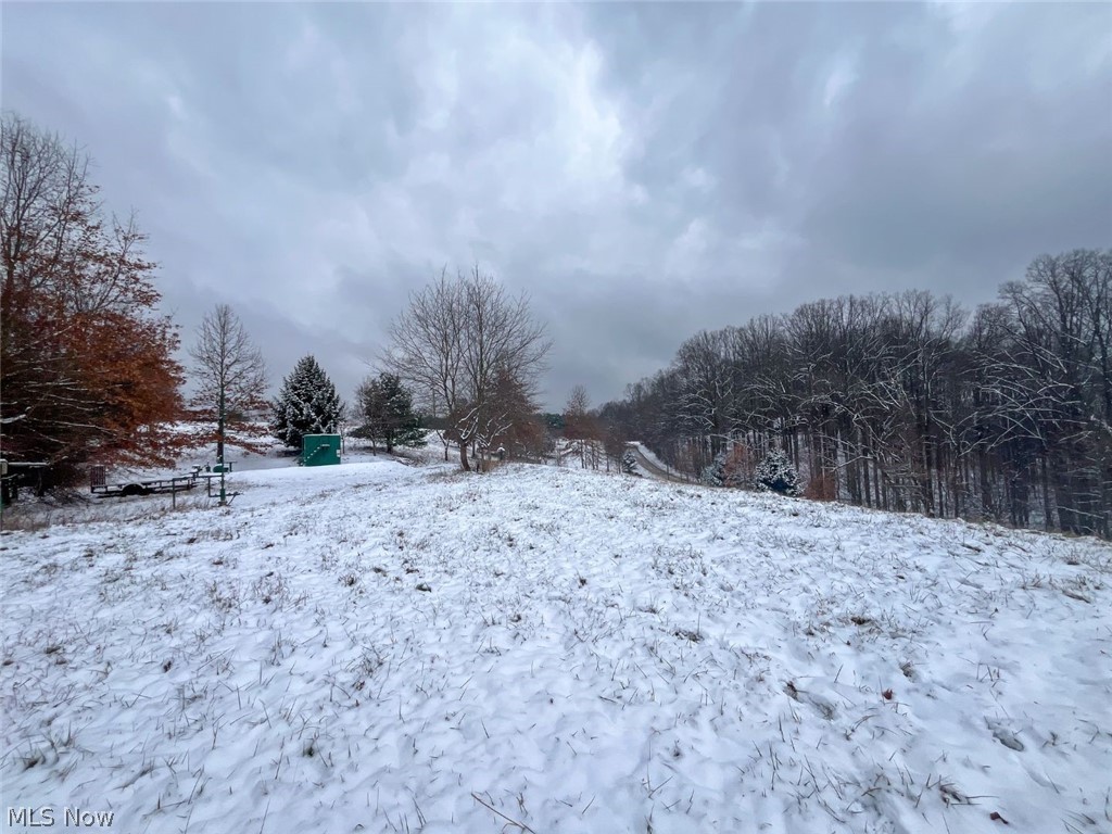 87085 Crall Road Scio, OH 43988 - Photo 26 of 30
