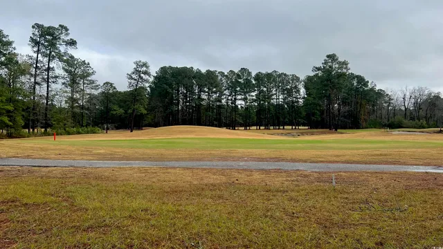 $334,900 | 4153 Charleston Oaks Drive, Loris, SC 29569