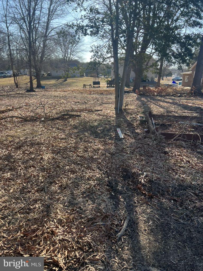6640 Pomfret Road La Plata, MD 20646 - Photo 16 of 16 a view of a yard with large trees