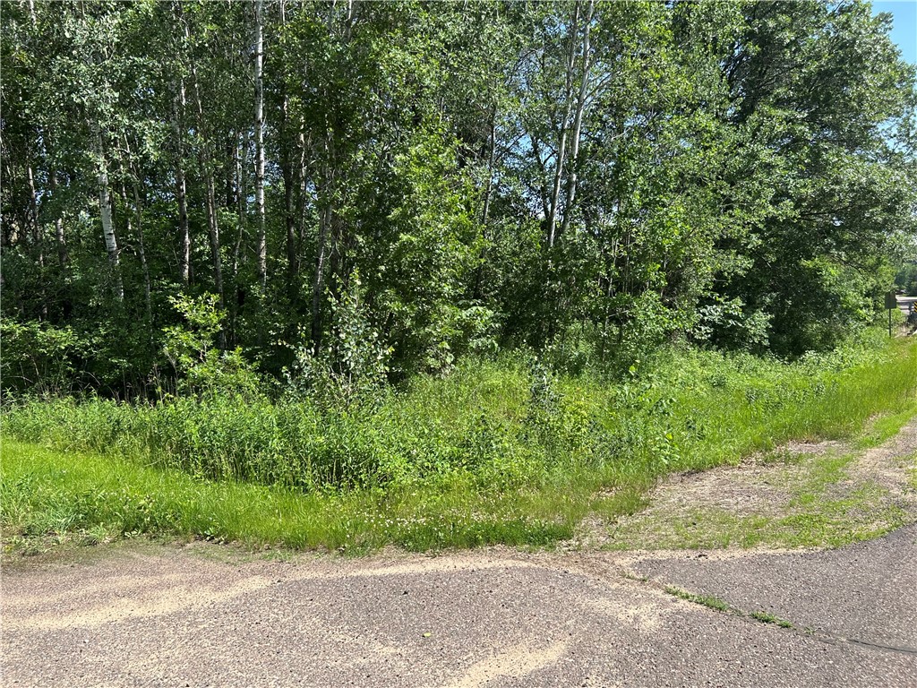 0 Bernhardt Road Fall Creek, WI 54742 - Photo 2 of 5