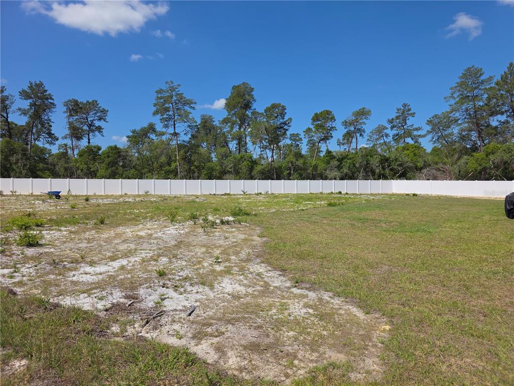 2450 Southwest 170th Loop Ocala, FL 34473 - Photo 5 of 6