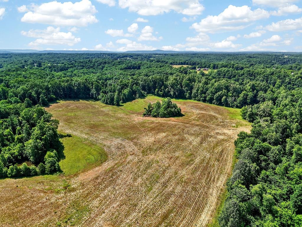 0 Massa Road Baxter, TN 38544 - Photo 19 of 22