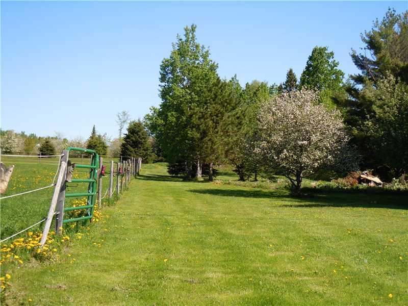 128 Moose Brook Road Ludlow, ME 04730 - Photo 29 of 34 Land/Lot. Pasture(s) have electric...