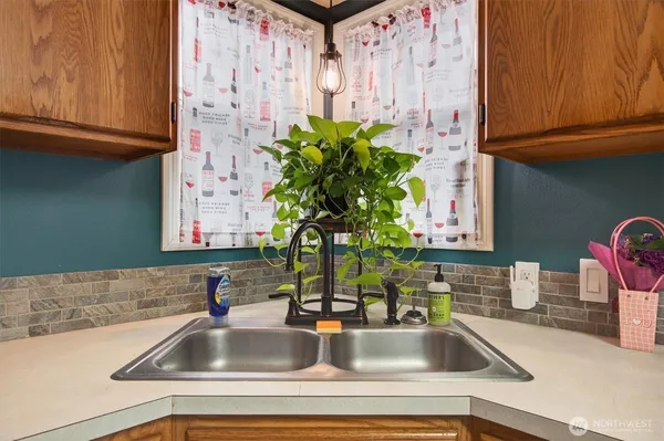 a kitchen with a sink and potted plant