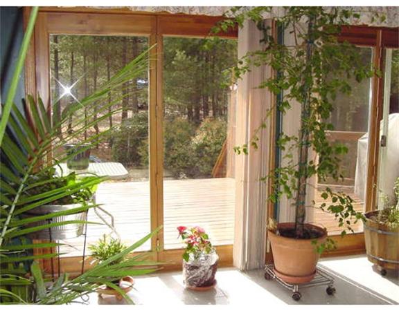 13 Allen Road Sturbridge, MA 01566 - Photo 9 of 16 a view of balcony with potted plants