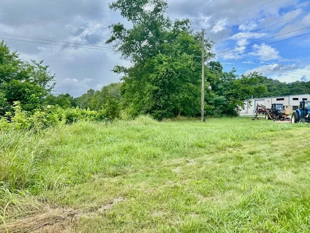 a view of a green field with lots of bushes