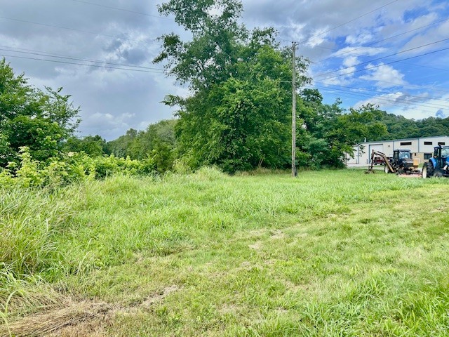 0 Shady Lane Pulaski, TN 38478 - Photo 1 of 3 a view of a green field with lots of bushes