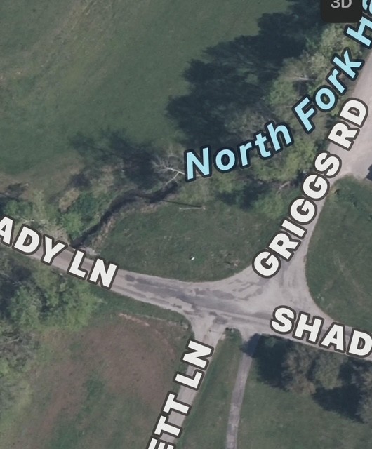 0 Shady Lane Pulaski, TN 38478 - Photo 2 of 3