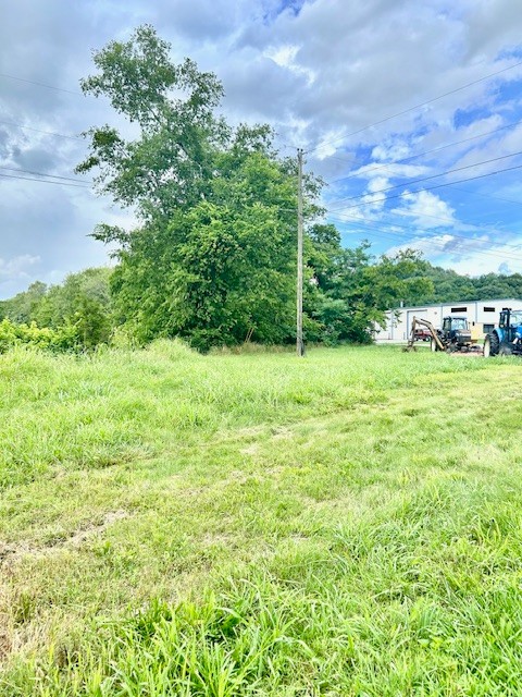 0 Shady Lane Pulaski, TN 38478 - Photo 3 of 3 a backyard of a house with lots of green space