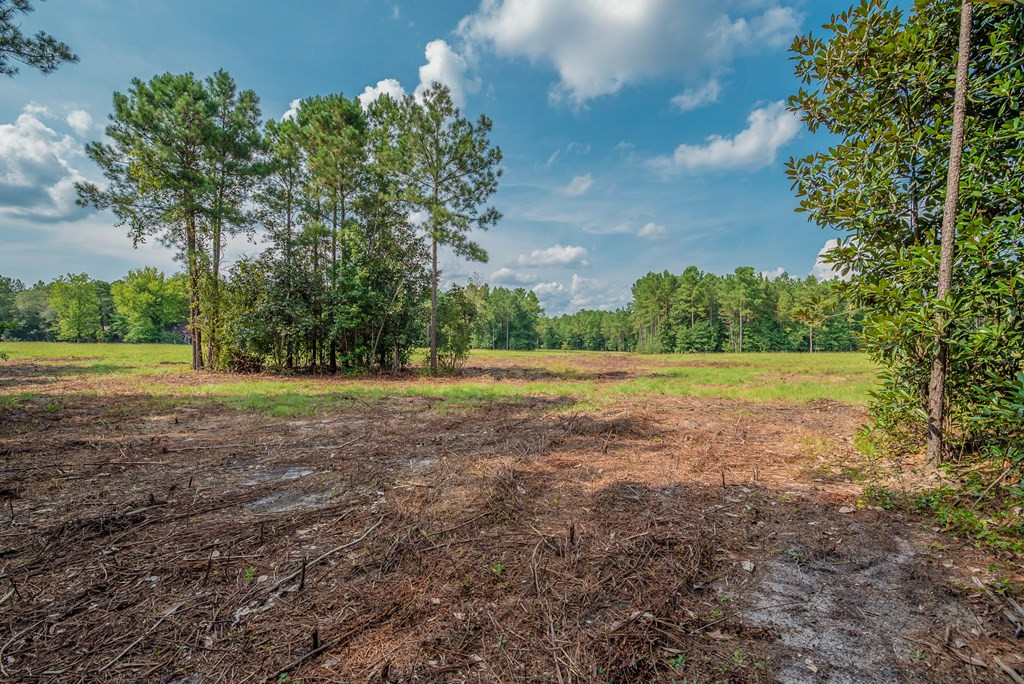 241 Voyager Road Salley, SC 29137 - Photo 20 of 31