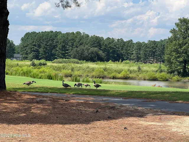 $67,000 | 446 Thimbleberry Drive, Vass, NC 28394