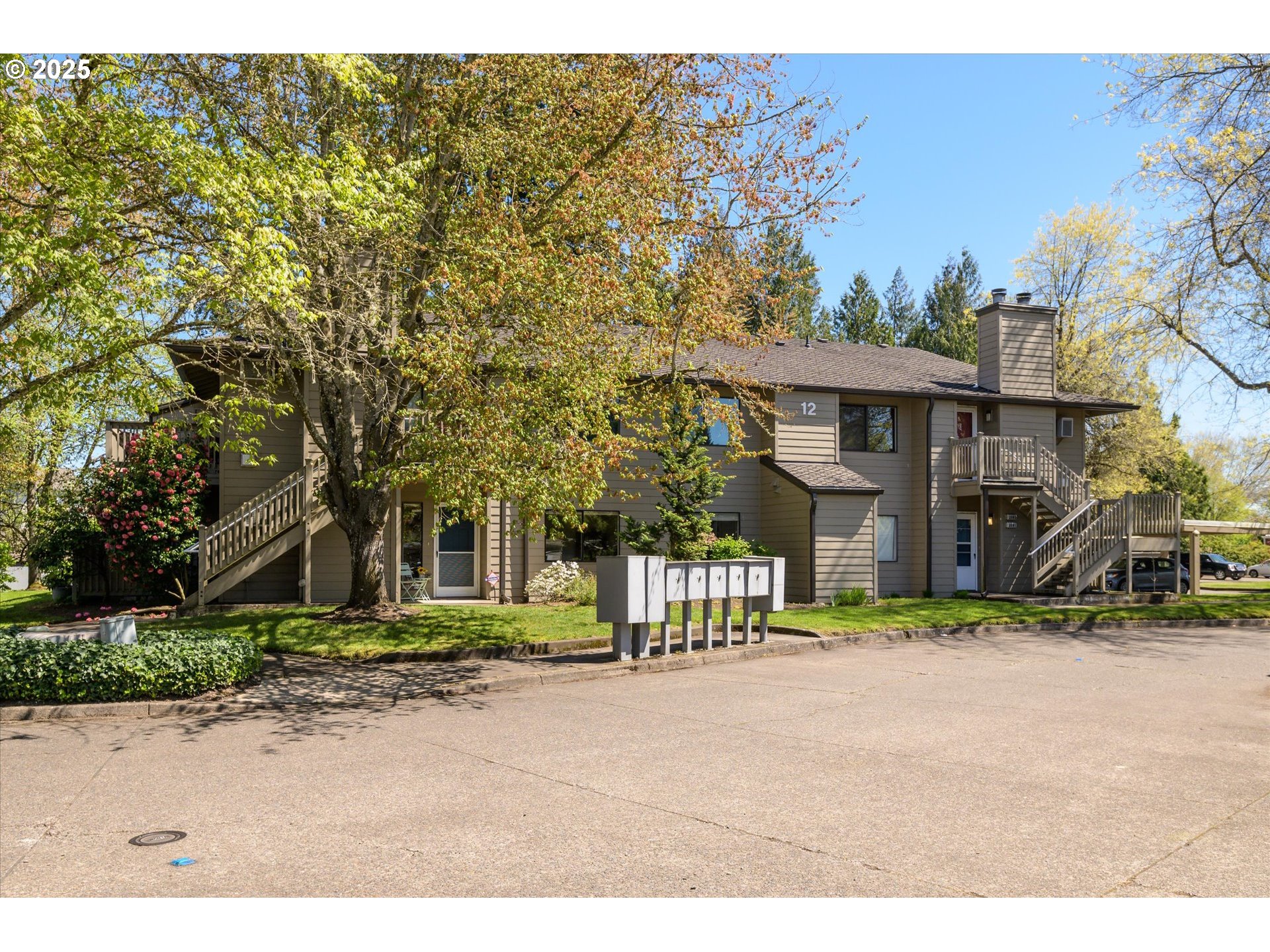 2095 Lake Isle Drive Eugene, OR 97401 - Photo 27 of 32 a view of road with large trees