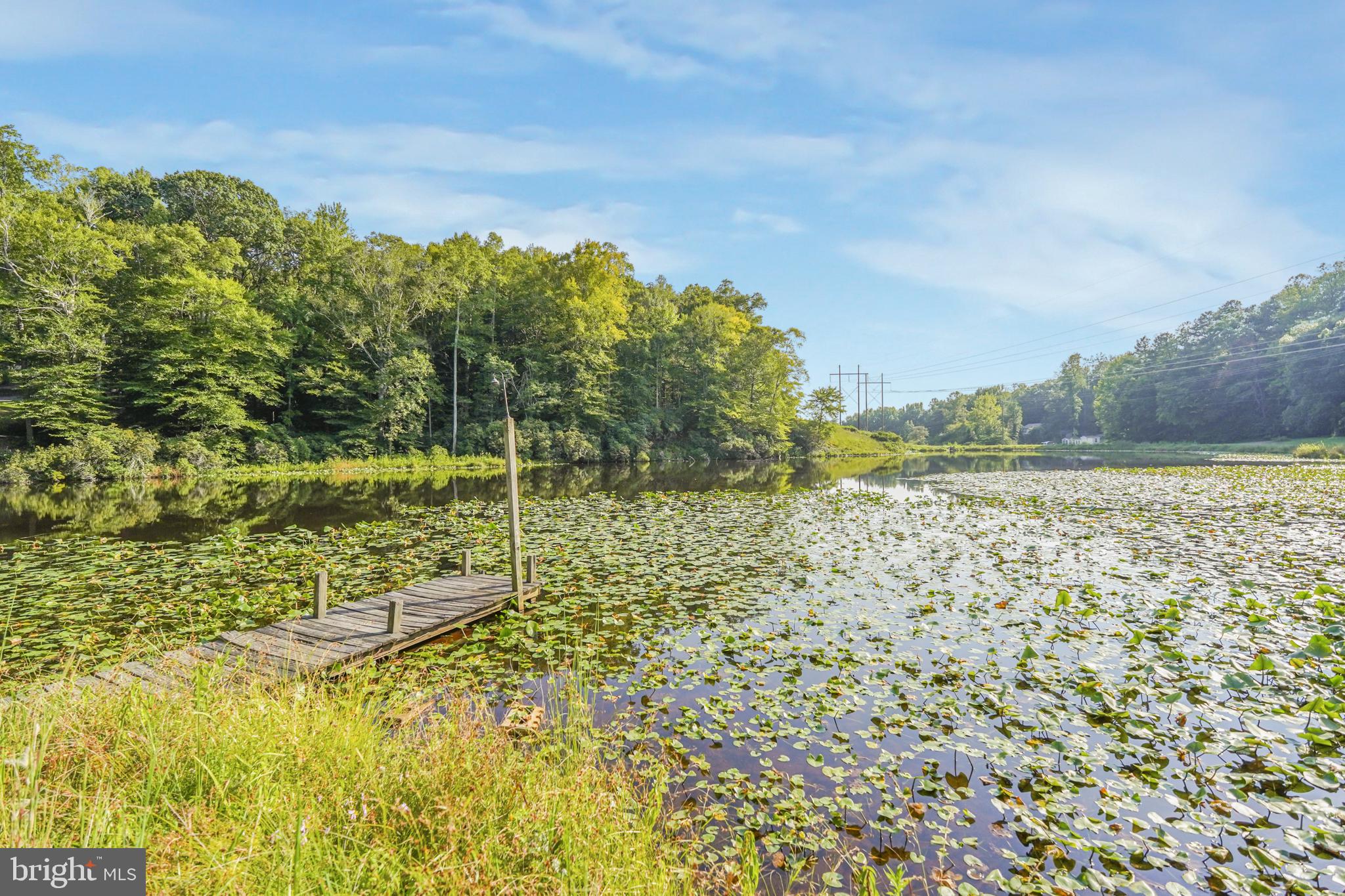 26374 Hill Road Ruther Glen, VA 22546 - Photo 15 of 60 Gallery Image 15