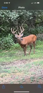 $499,900 | 309 A Wimpole Drive, Nashville, TN 37211