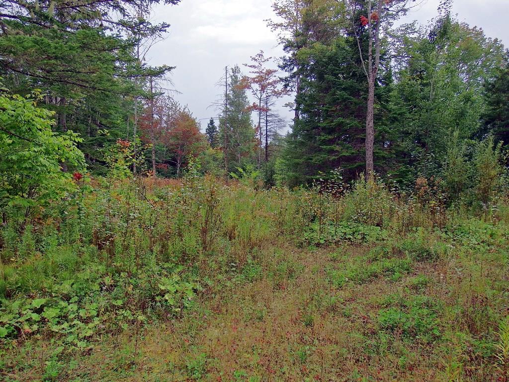 164 Tracy Road Amity, ME 04471 - Photo 5 of 35 Photo