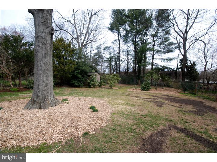 527 Riverview Road Swarthmore, PA 19081 - Photo 24 of 25 Back Yard